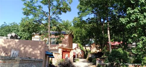 IMG_20200604_082225.jpg