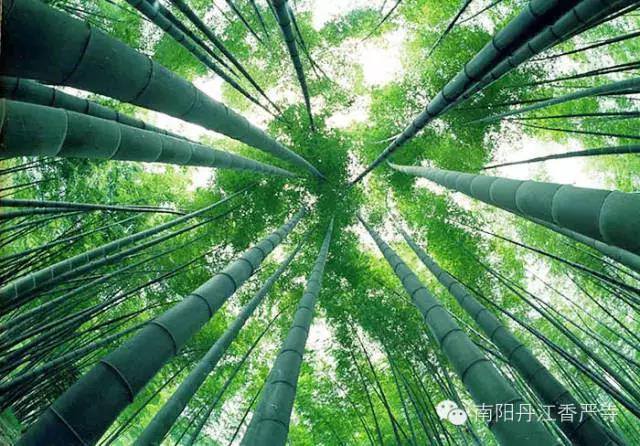 微信图片_20210323145848.jpg